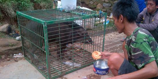Ini nih yg lagi anget-angetnya di kota ane