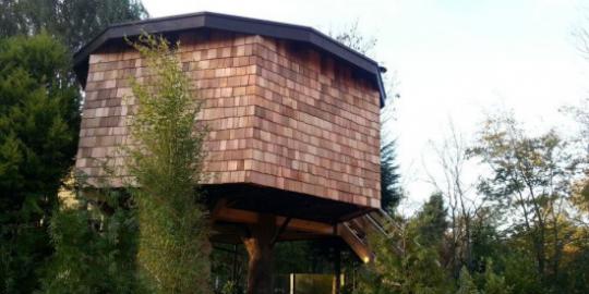 Wow, rumah pohon ini dibanderol Rp 936 juta!