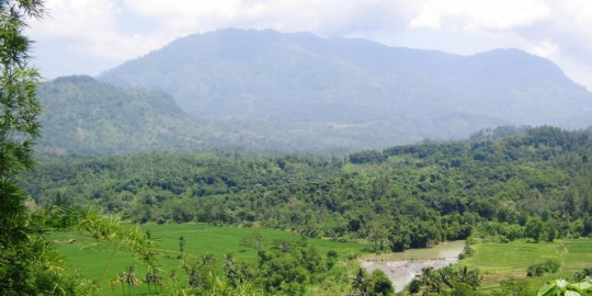 6 Kota yang Pernah Dimunculkan Jadi Pengganti Ibu Kota