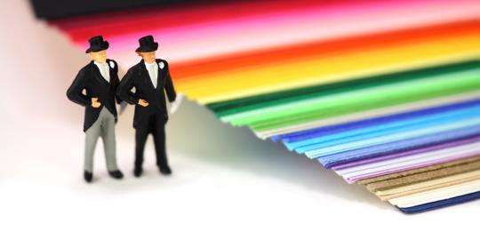 [HOT] Pasangan beda kelamin lebih sehat dibanding homoseks?