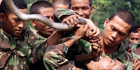 5 Aksi pasukan elite TNI yang kuras fisik dan mental