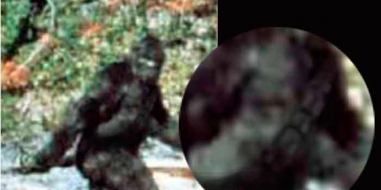 11 Makhluk Berwujud aneh