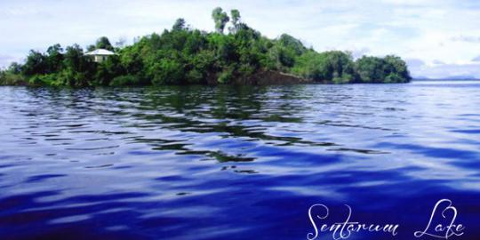 Taman Nasional Danau Sentarum Kalimantan barat, kapuas hulu,,,