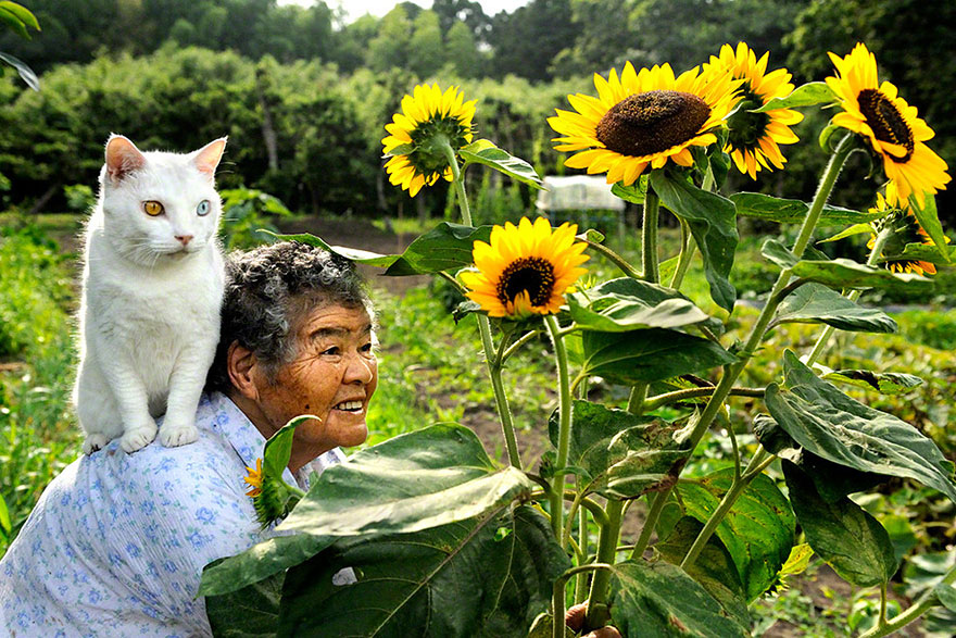 Foto-Foto Persahabatan Manis Seorang Nenek Dan Kucingnya