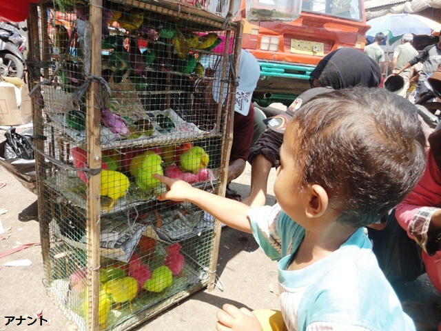 Yang Lahir Thn 90 an, TIap Pulang Sekolah Pasti Pernah Beli Ini 