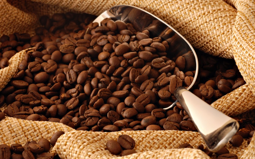 Jangan Ngaku Pecinta Kopi Luwak Bila Belum Tahu Serba-serbinya