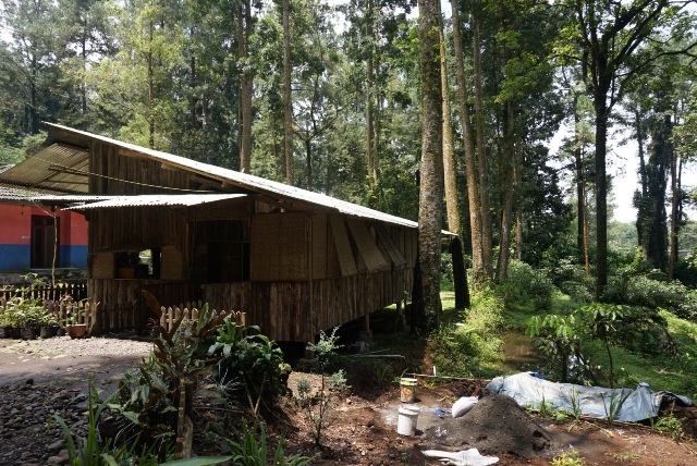&#91;H2H Event&#93; Pucung Pangan Ulo (Pucung Dimakan Ular)
