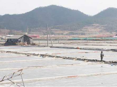 7 Pulau Indah di Korea Selatan