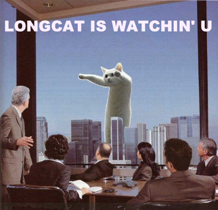 &#91;REBORN!!!&#93; Longcat, tacgnoL, Serious Cat IZ BACK (NGAKAK INSIDE!!!)