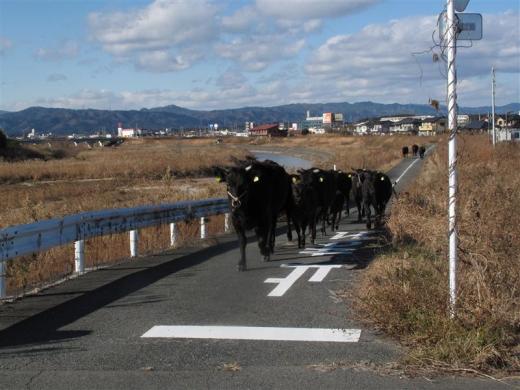 &#91;Pict&#93; Kota-kota tanpa penghuni di Jepang