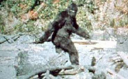 "Bigfoot" Makhluk Mitos Itu Nyata.!!!
