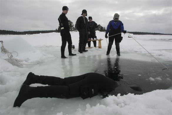 Es Arktik yang Semakin Menghilang