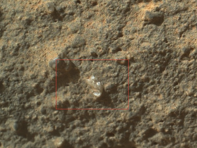 curiosity-nasa-temukan-bunga-di-permukaan-mars