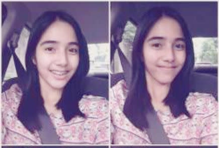 Apakah Cewek ini Pernah jadi Oshi Kalian?