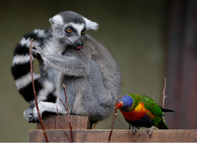 Pertemanan yang Tak Memandang Rupa (Picture)