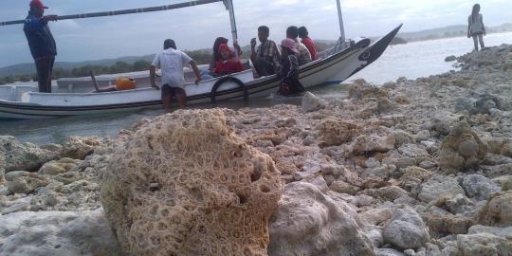 Pulau karang tiba-tiba muncul di tengah laut Madura