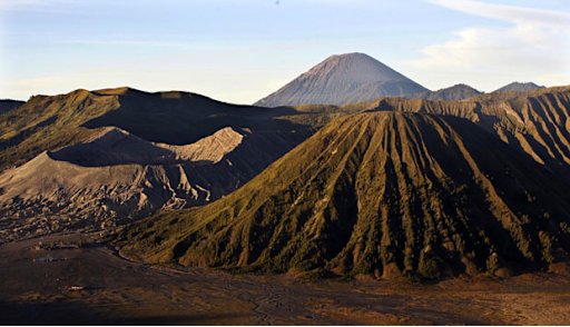 5 Tahun Lagi, Tak Ada Edelweis di Bromo