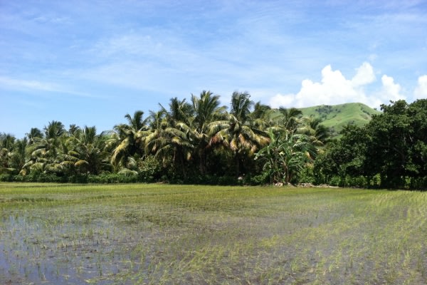 sebuah-desa-di-tengah-iklim-yang-berubah
