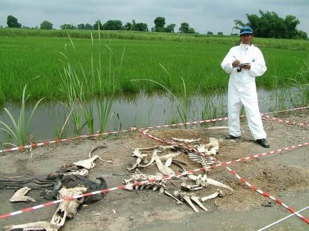 7 Tempat Terseram di Dunia Bagi Petualang
