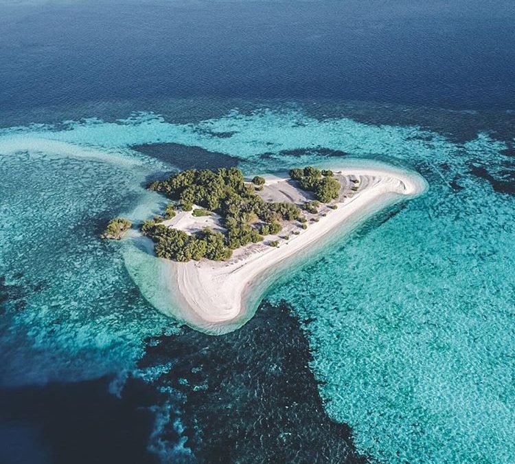 Menikmati Eksotisme Manta Point Labuan Bajo