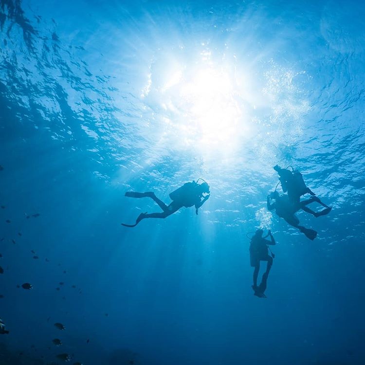 Menikmati Eksotisme Manta Point Labuan Bajo