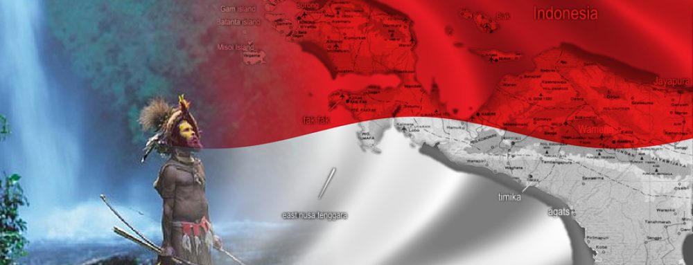 Mencari Kebakaran Hutan Di Papua
