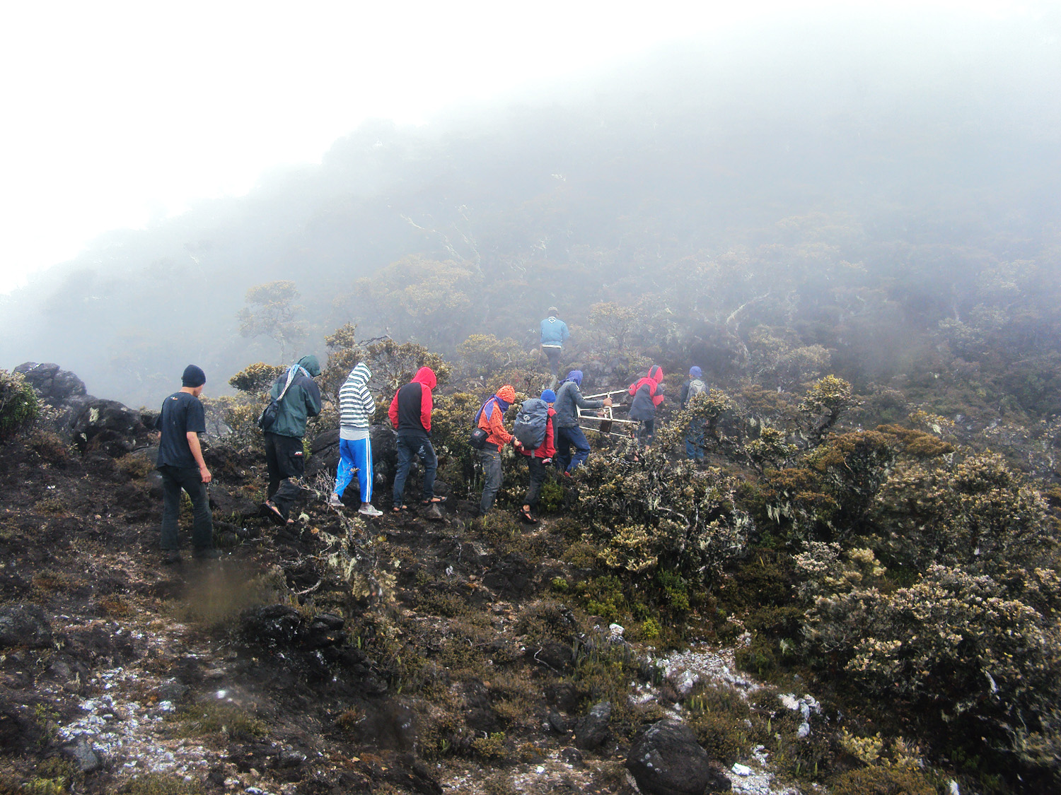 Gunung di Indonesia dengan Jalur Tersulit