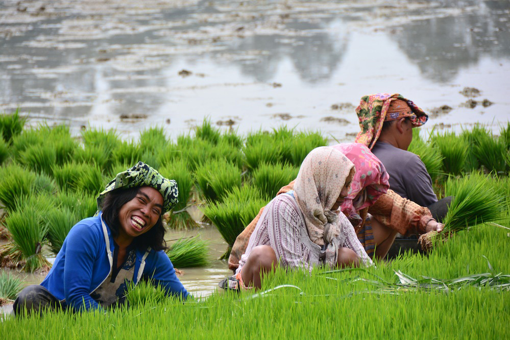 Foto Bule Ini Bikin Kita Bangga Akan Indonesia