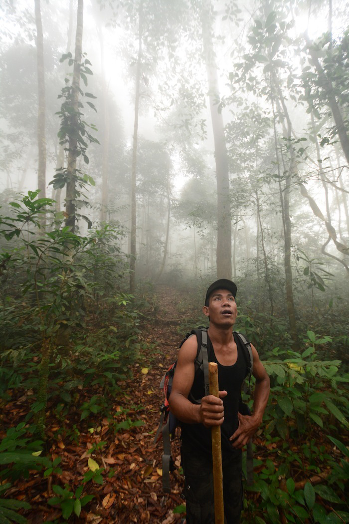 Foto Bule Ini Bikin Kita Bangga Akan Indonesia