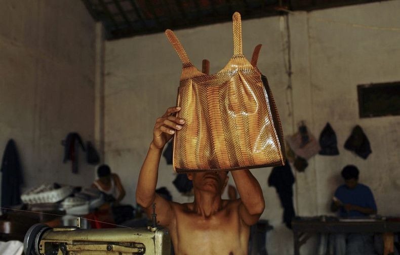 PABRIK KULIT ULAR DI INDONESIA (JAWA BARAT) &#91;+PIC&#93; (SUMBER : WEBSITE LUAR NEGRI)