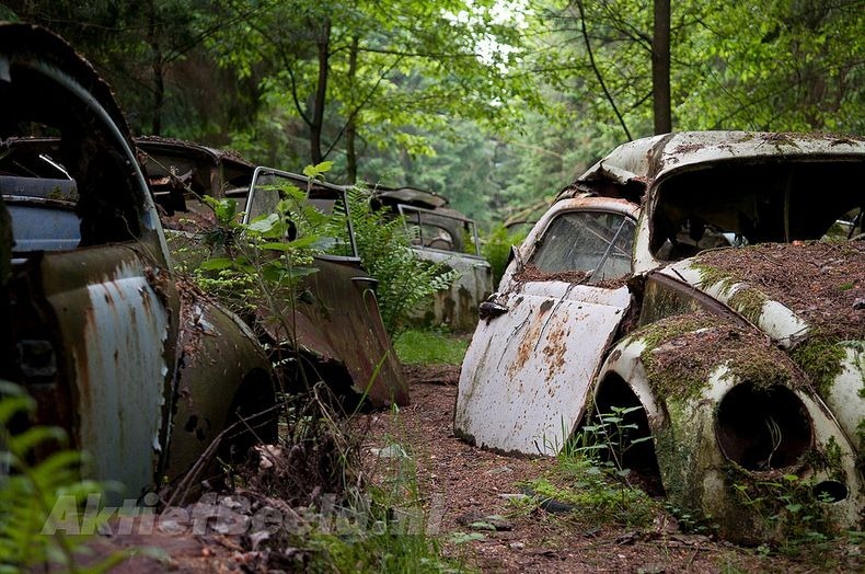 Hutan Berkabut, Kuburan Mobil-mobil Mewah 