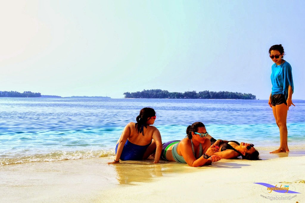 Pulau Harapan