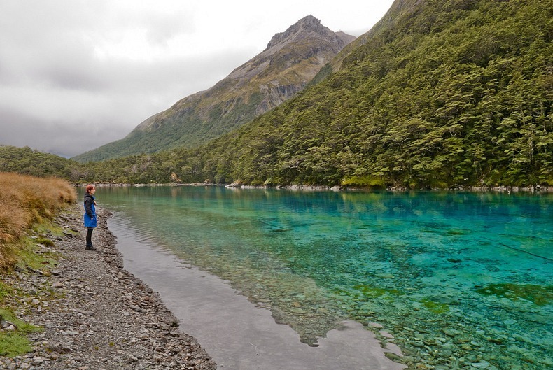Blue Lake Nelson (New Zealand): Danau Terjernih Di Dunia