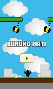 Ada Burung Mati