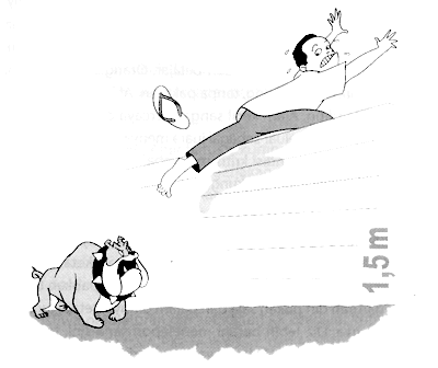 Tips Tips Menghindar Dari Kejaran Anjing Di Indonesia