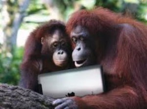 Fakta tentang Binatang yang bisa buat Ente Kaget .... 