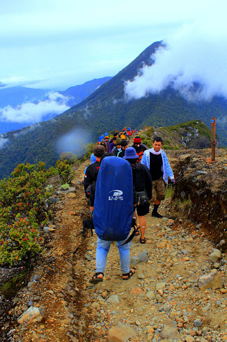 GUNUNG GEDE GUNUNG PENDAKIAN PERTAMA YANG SEDIKIT MISTIS