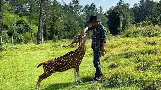 Tempat Wisata Di Jonggol Yang Lagi Hits Dan Instagramable, wajib Anda Kunjungi