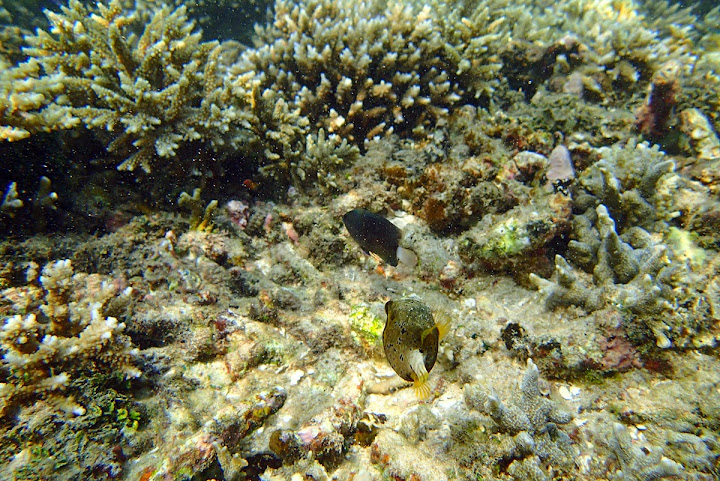 Trip Report : Pesona Pulau Legundi dan Teluk Kiluan. Full Picture!