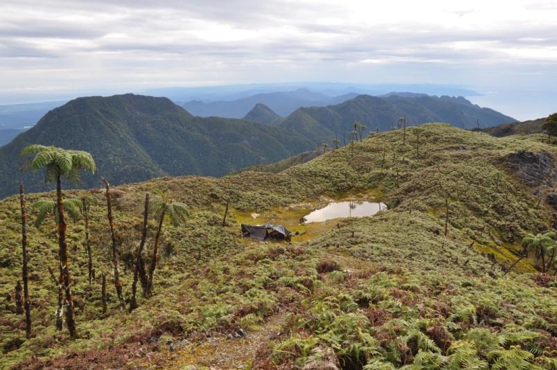 7 Puncak Gunung Tertinggi Di Kepulauan Indonesia (The Seven Summits Of ...