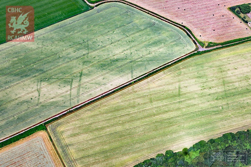 Cropmarks: Bagaimana Cuaca Kering Dapat Mengungkapkan Situs Arkeologi Tersembunyi