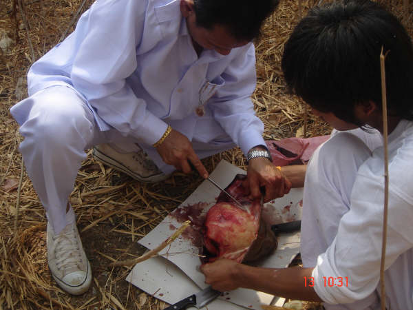 Foto Pengolahan Daging Manusia Menjadi Makanan (18+)