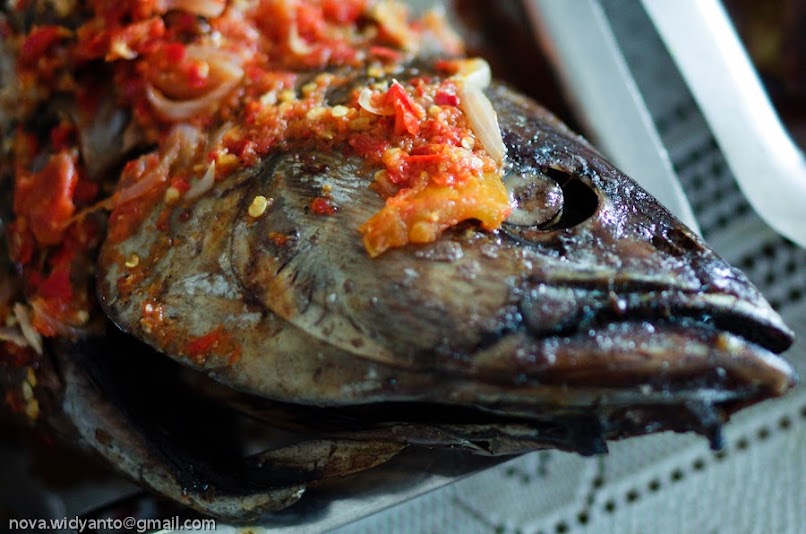 pentax-village---part-3--the-legend-still-continues