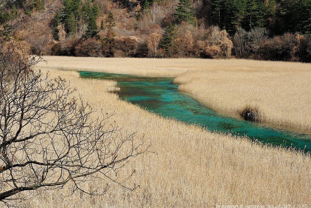 Danau Alpine Dan Air Terjun Jiuzhaigou