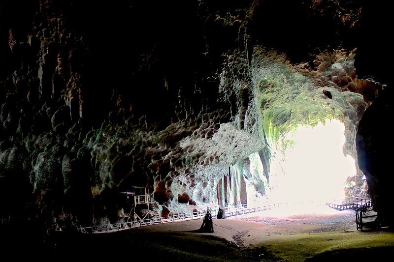 Gua-paling-mengerikan-di-dunia-tak-ada-hantu-tapi-isinya-bikin-traveler-menjerit