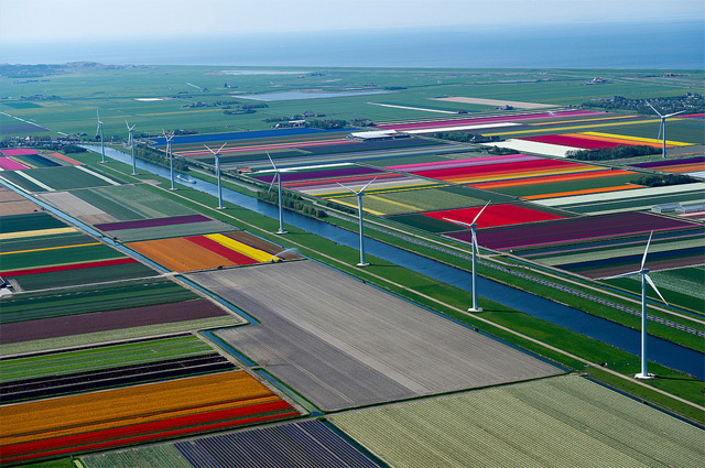 Foto: Pemandangan Indah Taman Bunga Tulip Di Belanda | KASKUS