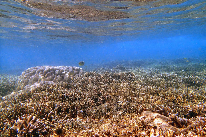 Trip Report : Pesona Pulau Legundi dan Teluk Kiluan. Full Picture!