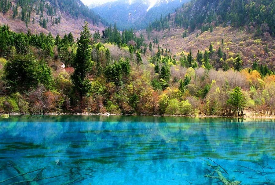 Danau Alpine Dan Air Terjun Jiuzhaigou
