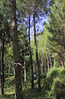 gerojokan-7---hidden-paradise-di-kab-malang