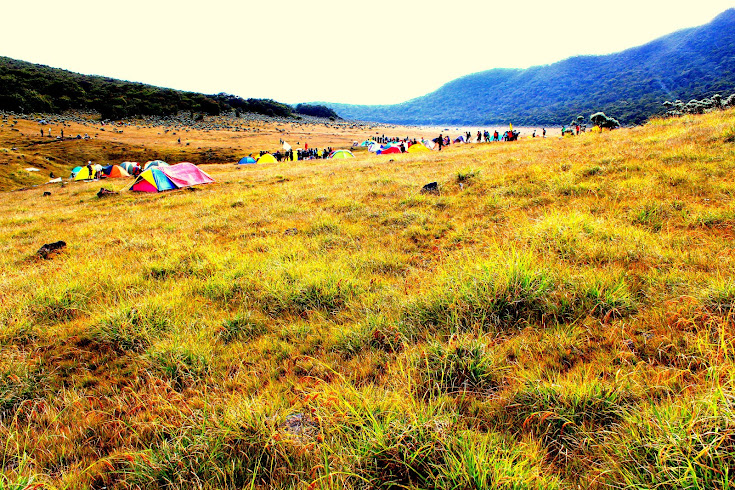 GUNUNG GEDE GUNUNG PENDAKIAN PERTAMA YANG SEDIKIT MISTIS